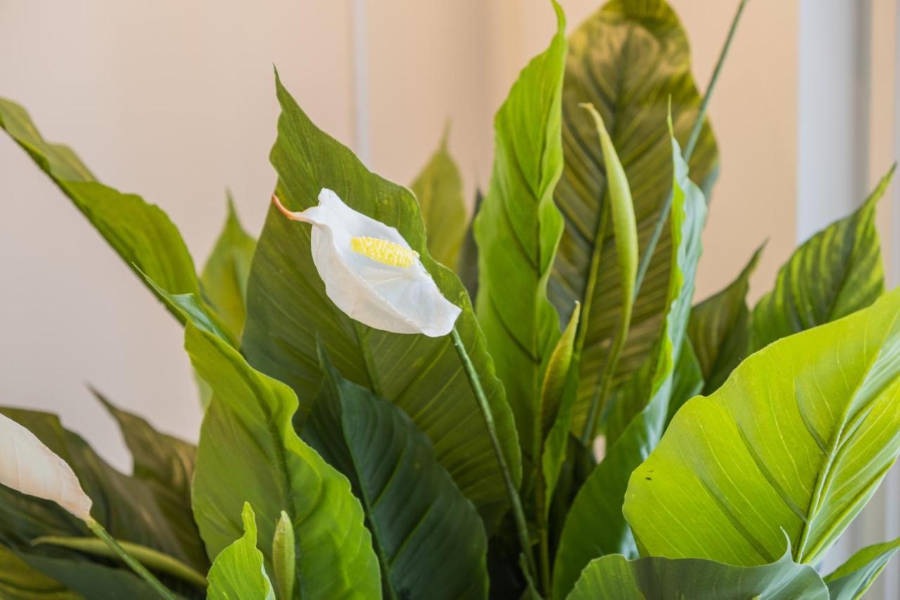 Snowflake Suites VI Rovaniemi Esterno foto